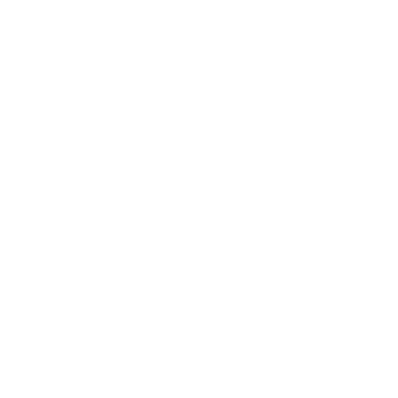 The Rain Vedutti Company